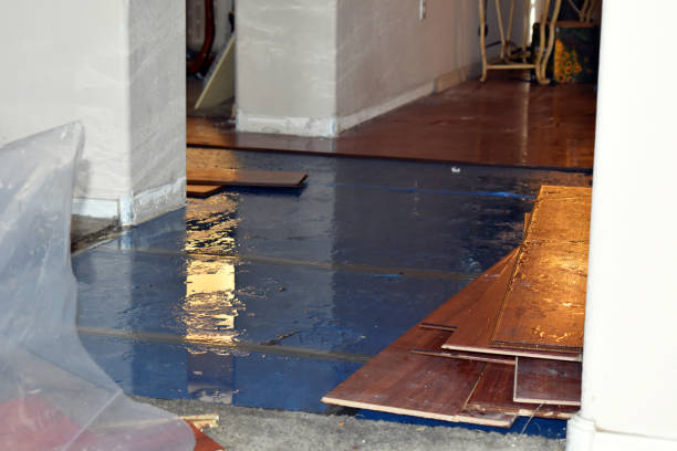 Professional Basement Flood Cleanup technician working in Malakoff, TX